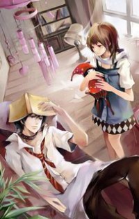 DC家的騎士